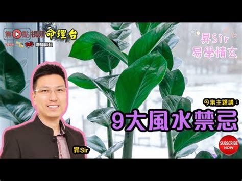 水種植物 風水|【水種植物風水】水種植物風水指南：招財、旺運、提。